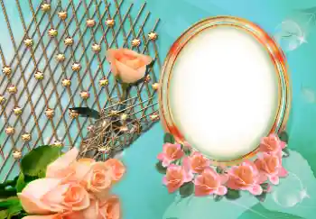 Efekt zdjęciowy z kategorii Ramki dla kobiet № 157126