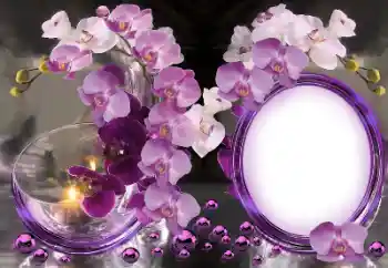 Efekt zdjęciowy z kategorii Ramki dla kobiet № 157222