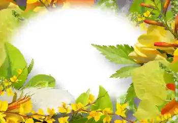 Efekt zdjęciowy z kategorii Ramki dla kobiet № 158274 Efekt zdjęciowy z kategorii Ramki dla kobiet № 158274