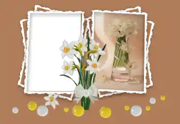 Efekt zdjęciowy z kategorii Ramki dla kobiet № 158348 Efekt zdjęciowy z kategorii Ramki dla kobiet № 158348