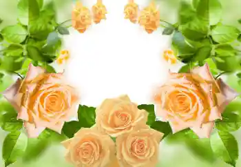 Efekt zdjęciowy z kategorii Ramki dla kobiet № 158383 Efekt zdjęciowy z kategorii Ramki dla kobiet № 158383