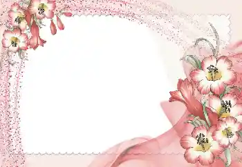 Efekt zdjęciowy z kategorii Ramki dla kobiet № 15965