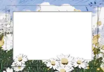 Efekt zdjęciowy z kategorii Ramki dla kobiet № 16006