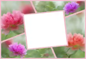 Efekt zdjęciowy z kategorii Ramki dla kobiet № 160554 Efekt zdjęciowy z kategorii Ramki dla kobiet № 160554