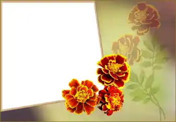 Efekt zdjęciowy z kategorii Ramki dla kobiet № 160560 Efekt zdjęciowy z kategorii Ramki dla kobiet № 160560