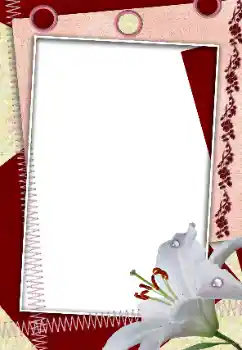 Efekt zdjęciowy z kategorii Ramki dla kobiet № 160618 Efekt zdjęciowy z kategorii Ramki dla kobiet № 160618