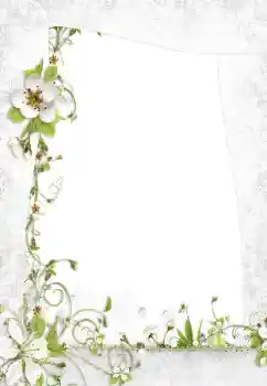 Efekt zdjęciowy z kategorii Ramki dla kobiet № 160795