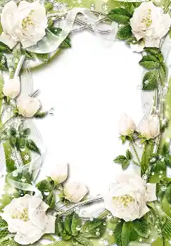 Efekt zdjęciowy z kategorii Ramki dla kobiet № 1611