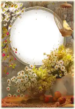 Efekt zdjęciowy z kategorii Ramki dla kobiet № 161952