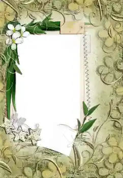 Efekt zdjęciowy z kategorii Ramki dla kobiet № 161971