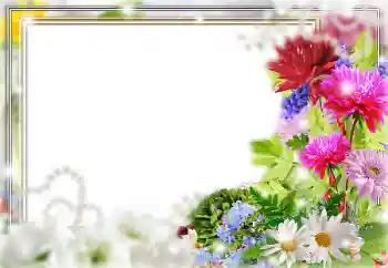 Efekt zdjęciowy z kategorii Ramki dla kobiet № 162006