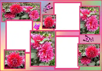 Efekt zdjęciowy z kategorii Ramki dla kobiet № 162009