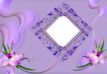 Efekt zdjęciowy z kategorii Ramki dla kobiet № 163219