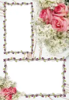 Efekt zdjęciowy z kategorii Ramki dla kobiet № 163256