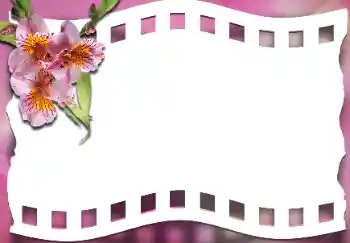 Efekt zdjęciowy z kategorii Ramki dla kobiet № 163337