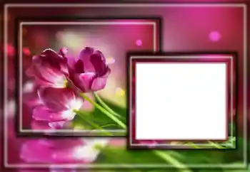 Efekt zdjęciowy z kategorii Ramki dla kobiet № 164601 Efekt zdjęciowy z kategorii Ramki dla kobiet № 164601