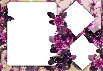 Efekt zdjęciowy z kategorii Ramki dla kobiet № 164747 Efekt zdjęciowy z kategorii Ramki dla kobiet № 164747