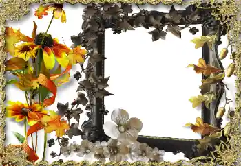 Efekt zdjęciowy z kategorii Ramki dla kobiet № 164786 Efekt zdjęciowy z kategorii Ramki dla kobiet № 164786