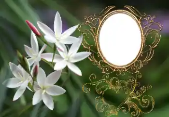 Efekt zdjęciowy z kategorii Ramki dla kobiet № 164897 Efekt zdjęciowy z kategorii Ramki dla kobiet № 164897