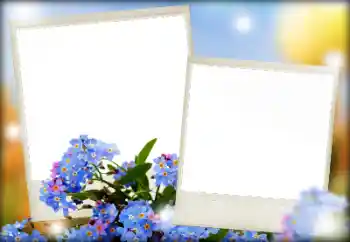 Efekt zdjęciowy z kategorii Ramki dla kobiet № 166068 Efekt zdjęciowy z kategorii Ramki dla kobiet № 166068