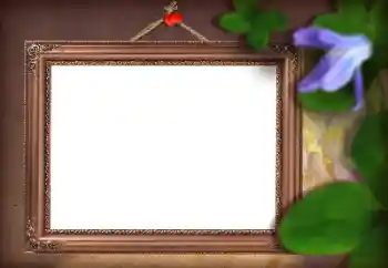 Efekt zdjęciowy z kategorii Ramki dla kobiet № 166082 Efekt zdjęciowy z kategorii Ramki dla kobiet № 166082