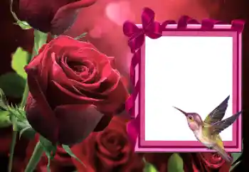 Efekt zdjęciowy z kategorii Ramki dla kobiet № 166111 Efekt zdjęciowy z kategorii Ramki dla kobiet № 166111