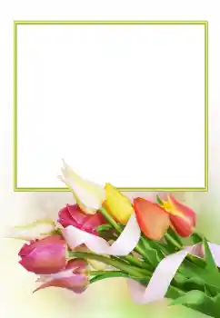 Efekt zdjęciowy z kategorii Ramki dla kobiet № 166153 Efekt zdjęciowy z kategorii Ramki dla kobiet № 166153