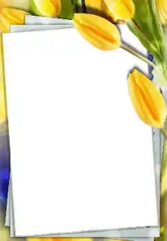 Efekt zdjęciowy z kategorii Ramki dla kobiet № 166167 Efekt zdjęciowy z kategorii Ramki dla kobiet № 166167