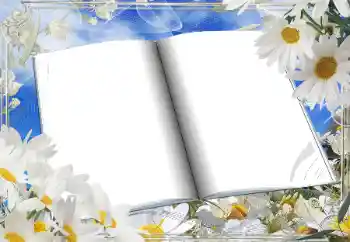 Efekt zdjęciowy z kategorii Ramki dla kobiet № 166181 Efekt zdjęciowy z kategorii Ramki dla kobiet № 166181