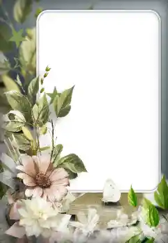 Efekt zdjęciowy z kategorii Ramki dla kobiet № 166192 Efekt zdjęciowy z kategorii Ramki dla kobiet № 166192