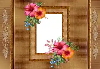 Efekt zdjęciowy z kategorii Ramki dla kobiet № 166245 Efekt zdjęciowy z kategorii Ramki dla kobiet № 166245