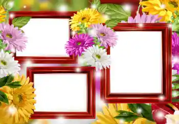 Efekt zdjęciowy z kategorii Ramki dla kobiet № 166266 Efekt zdjęciowy z kategorii Ramki dla kobiet № 166266