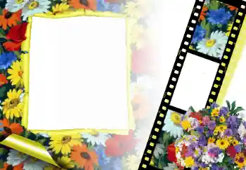 Efekt zdjęciowy z kategorii Ramki dla kobiet № 166315 Efekt zdjęciowy z kategorii Ramki dla kobiet № 166315