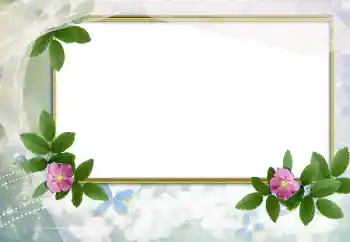 Efekt zdjęciowy z kategorii Ramki dla kobiet № 166503 Efekt zdjęciowy z kategorii Ramki dla kobiet № 166503