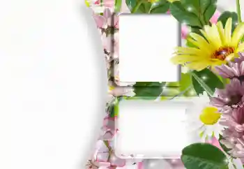 Efekt zdjęciowy z kategorii Ramki dla kobiet № 166607 Efekt zdjęciowy z kategorii Ramki dla kobiet № 166607