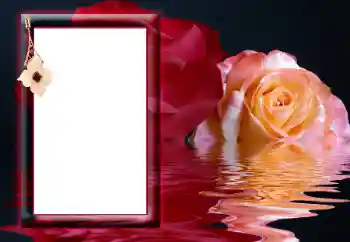 Efekt zdjęciowy z kategorii Ramki dla kobiet № 166641 Efekt zdjęciowy z kategorii Ramki dla kobiet № 166641