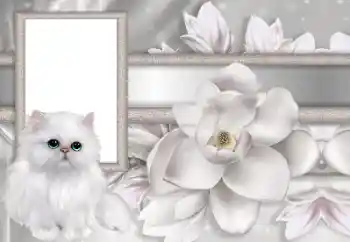 Efekt zdjęciowy z kategorii Ramki dla kobiet № 167744 Efekt zdjęciowy z kategorii Ramki dla kobiet № 167744