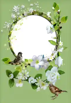 Efekt zdjęciowy z kategorii Ramki dla kobiet № 167829 Efekt zdjęciowy z kategorii Ramki dla kobiet № 167829