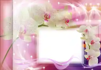 Efekt zdjęciowy z kategorii Ramki dla kobiet № 167835 Efekt zdjęciowy z kategorii Ramki dla kobiet № 167835