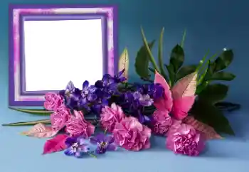 Efekt zdjęciowy z kategorii Ramki dla kobiet № 167856 Efekt zdjęciowy z kategorii Ramki dla kobiet № 167856