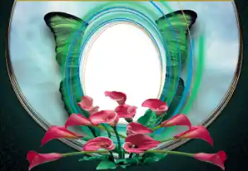 Efekt zdjęciowy z kategorii Ramki dla kobiet № 167874 Efekt zdjęciowy z kategorii Ramki dla kobiet № 167874