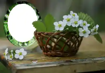 Efekt zdjęciowy z kategorii Ramki dla kobiet № 167999 Efekt zdjęciowy z kategorii Ramki dla kobiet № 167999