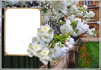 Efekt zdjęciowy z kategorii Ramki dla kobiet № 169025 Efekt zdjęciowy z kategorii Ramki dla kobiet № 169025