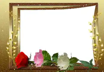 Efekt zdjęciowy z kategorii Ramki dla kobiet № 169033 Efekt zdjęciowy z kategorii Ramki dla kobiet № 169033