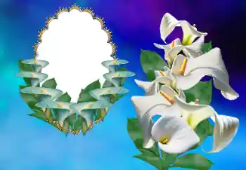 Efekt zdjęciowy z kategorii Ramki dla kobiet № 169156