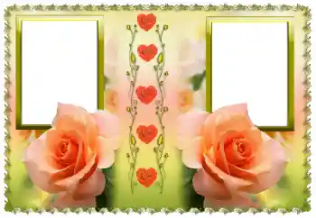 Efekt zdjęciowy z kategorii Ramki dla kobiet № 169227