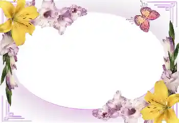 Efekt zdjęciowy z kategorii Ramki dla kobiet № 169245