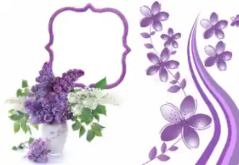 Efekt zdjęciowy z kategorii Ramki dla kobiet № 169273