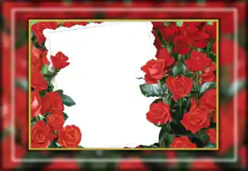 Efekt zdjęciowy z kategorii Ramki dla kobiet № 169274