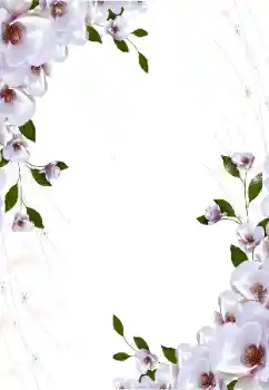 Efekt zdjęciowy z kategorii Ramki dla kobiet № 16997